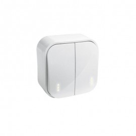 2 GANG ONE-WAY SWITCH FORIX- SURFACE MOUNTING - IP 2X - 10 AX - 250 V~ - WHITE