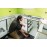 Clinometru digital Bosch GIM 120 Professional